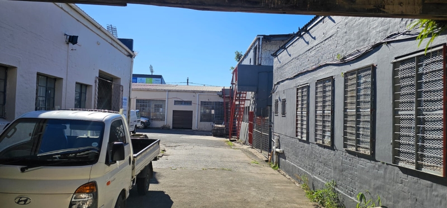 To Let commercial Property for Rent in Arcadia Eastern Cape
